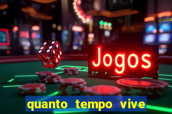 quanto tempo vive um passarinho bem-te-vi